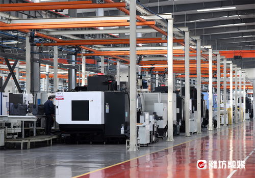 以大項目打開新氣象 2021年度全市重點項目和 雙招雙引 項目現(xiàn)場觀摩側(cè)記 上